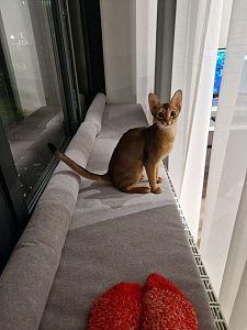 Матрас и валики серого цвета на подоконник точно по размеру. Отзыв клиента о матрасиках от фабрики Гливер, рейтинг 5 звезд. 