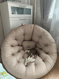 Лаунж мебель для создания зоны релакса. Отзыв с фото и рейтингом 5 звезд.