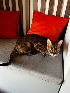 Серый матрасик для прихожей, любой размер и текстура на заказ от фабрики Gliver. Отзыв клиента, рейтинг 5 звезд. 