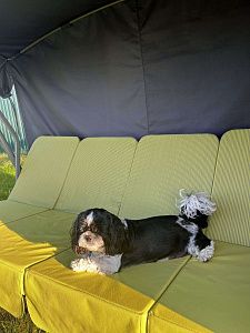 Мягкий уличный матрас для комфортного отдыха: отзыв. Фото на веранде. 5/5.