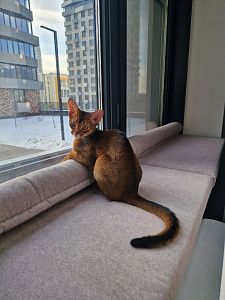 Матрас и валики серого цвета на подоконник точно по размеру. Отзыв клиента о матрасиках от фабрики Гливер, рейтинг 5 звезд. 