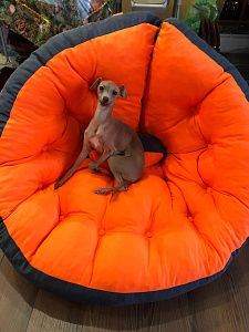 Кресло лаунж для полноценного отдыха. Отзыв с фото в зоне релакса. Высшая оценка 5 звезд.